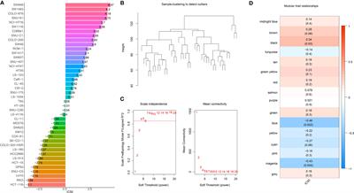 Comprehensive analysis identifies novel targets of gemcitabine to improve chemotherapy treatment strategies for colorectal cancer